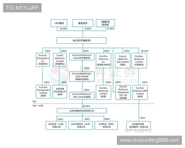 云顶新耀官网下载入口，快速下载安装指南与详细操作流程解析