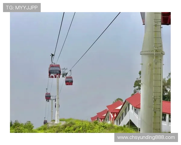 吉隆坡云顶世界官方网站入口安全访问技巧，确保您的浏览安全