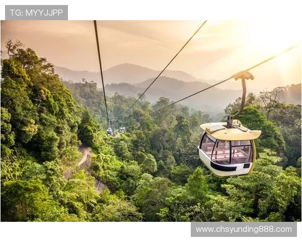 新加坡云顶高原家庭旅游指南：适合儿童的娱乐项目与安全提示