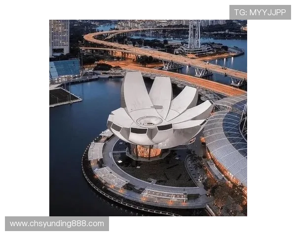 滨海湾金沙娱乐场：在滨海湾的繁华夜色中享受极致的娱乐盛宴